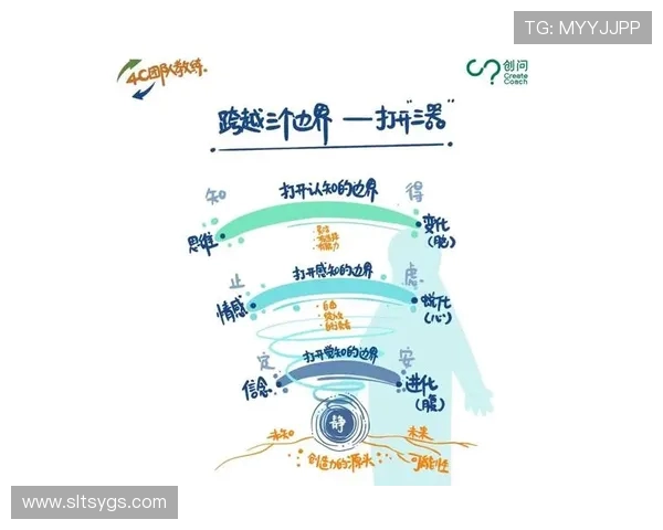 杭州飞盘队个人能力分析与团队协作的深度探讨