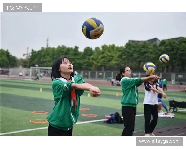 深入分析成都排球队阵地战战术特点与应用策略