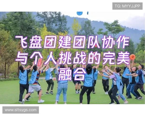西安飞盘队团队协作表现的数据分析与提升策略探讨