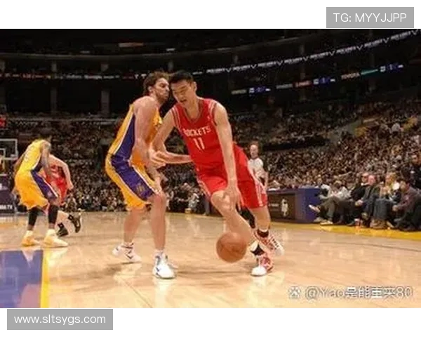 围绕篮球明星成长历程展现励志力量与竞技精神魅力的全新故事主题解析